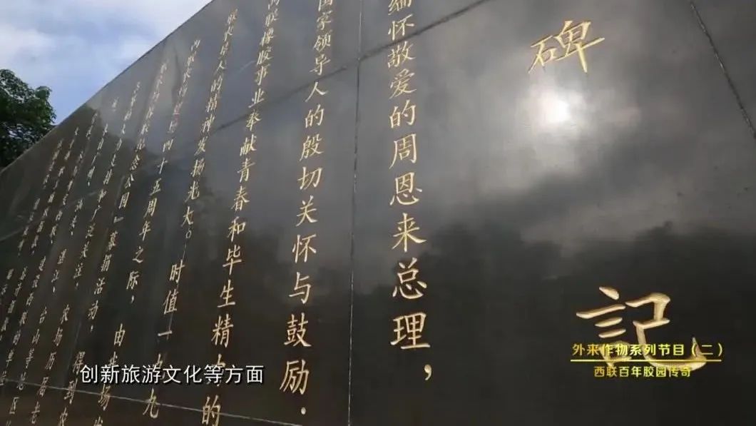 《海南华侨》之《外来作物系列节目（二）——西联百年胶园传奇》