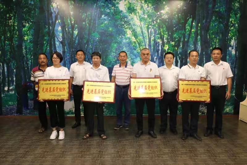 简篇-海垦荣光农场公司开展“学思想 强党性 重实践 建新功”主题教育党日活动