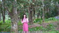 海垦之旅，不虚此行！
